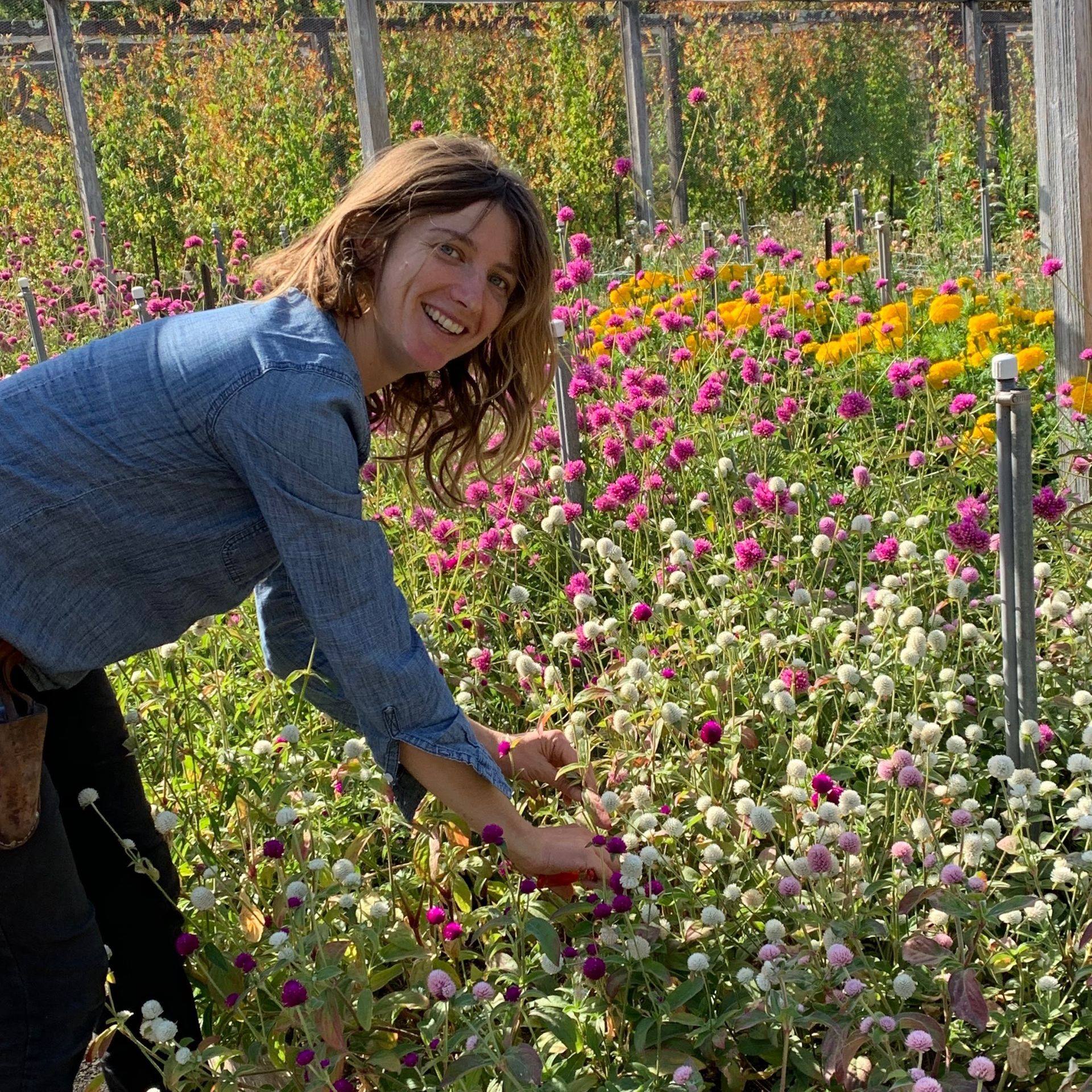 Volunteers in Garden Care immerse themselves in Filoli’s gardens through weeding, pruning and special seasonal projects essential to the horticultural richness of the garden. Volunteers commit to at least 48 hours of service and complete specialized training in order to participate in Garden Care.