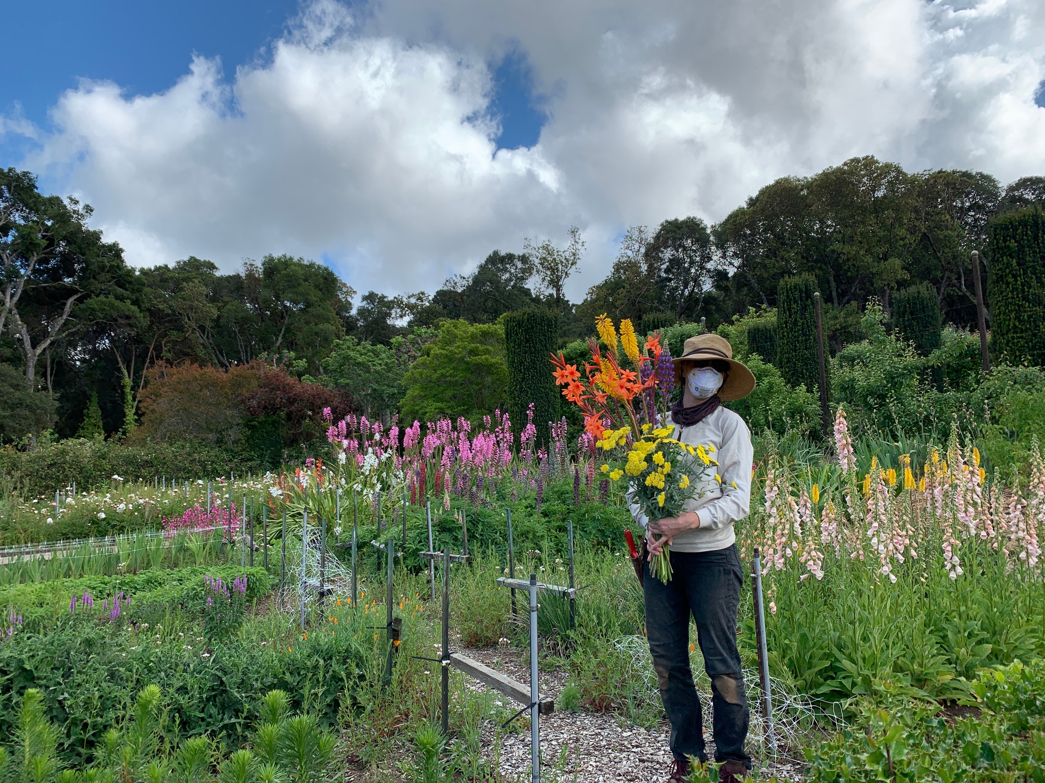 General Support consists of single-day, seasonal and short term projects in the Horticulture and Collections departments. These assignments do not usually require additional training beyond the initial volunteer orientation. There is no minimum service hours requirement to participate in General Support.