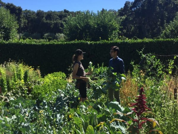 General Support consists of single-day, seasonal and short term projects in the Horticulture and Collections departments. These assignments do not usually require additional training beyond the initial volunteer orientation. There is no minimum service hours requirement to participate in General Support.