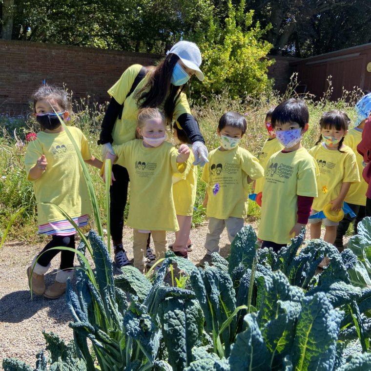 CCCC Walking Along The Veggies Scaled