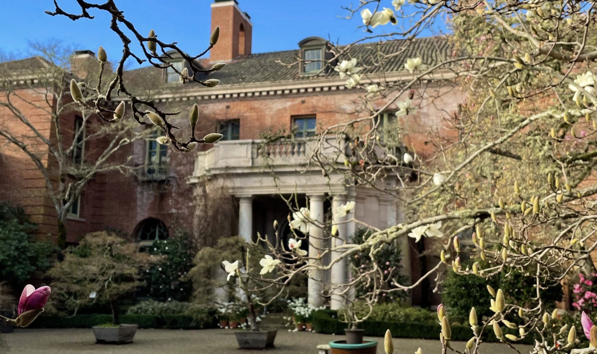 Front Of House Framed By Magnolias