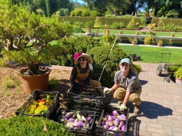 Leslie And Louise Harvest The Fruitful Garden