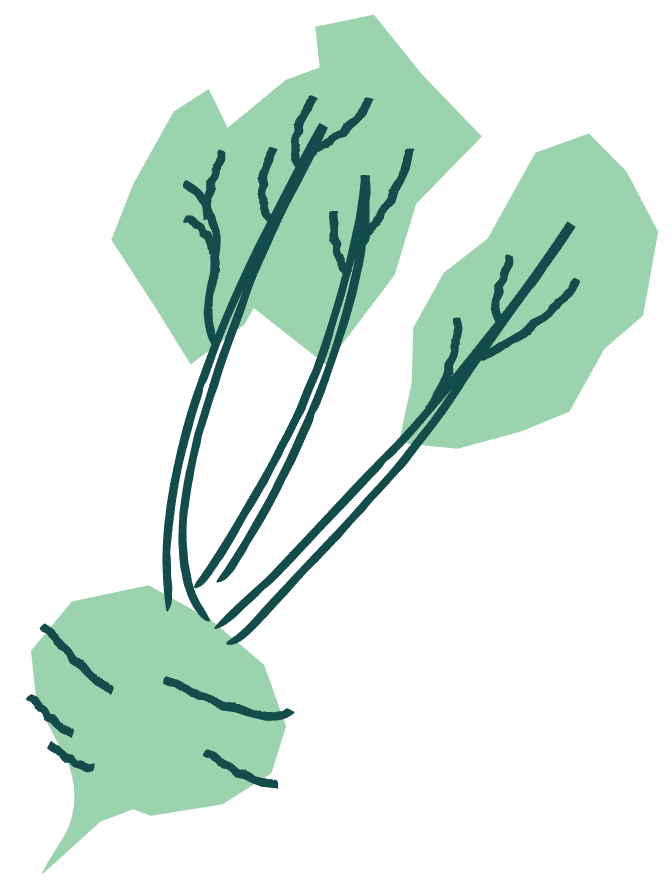 Vegetable Garden Onion