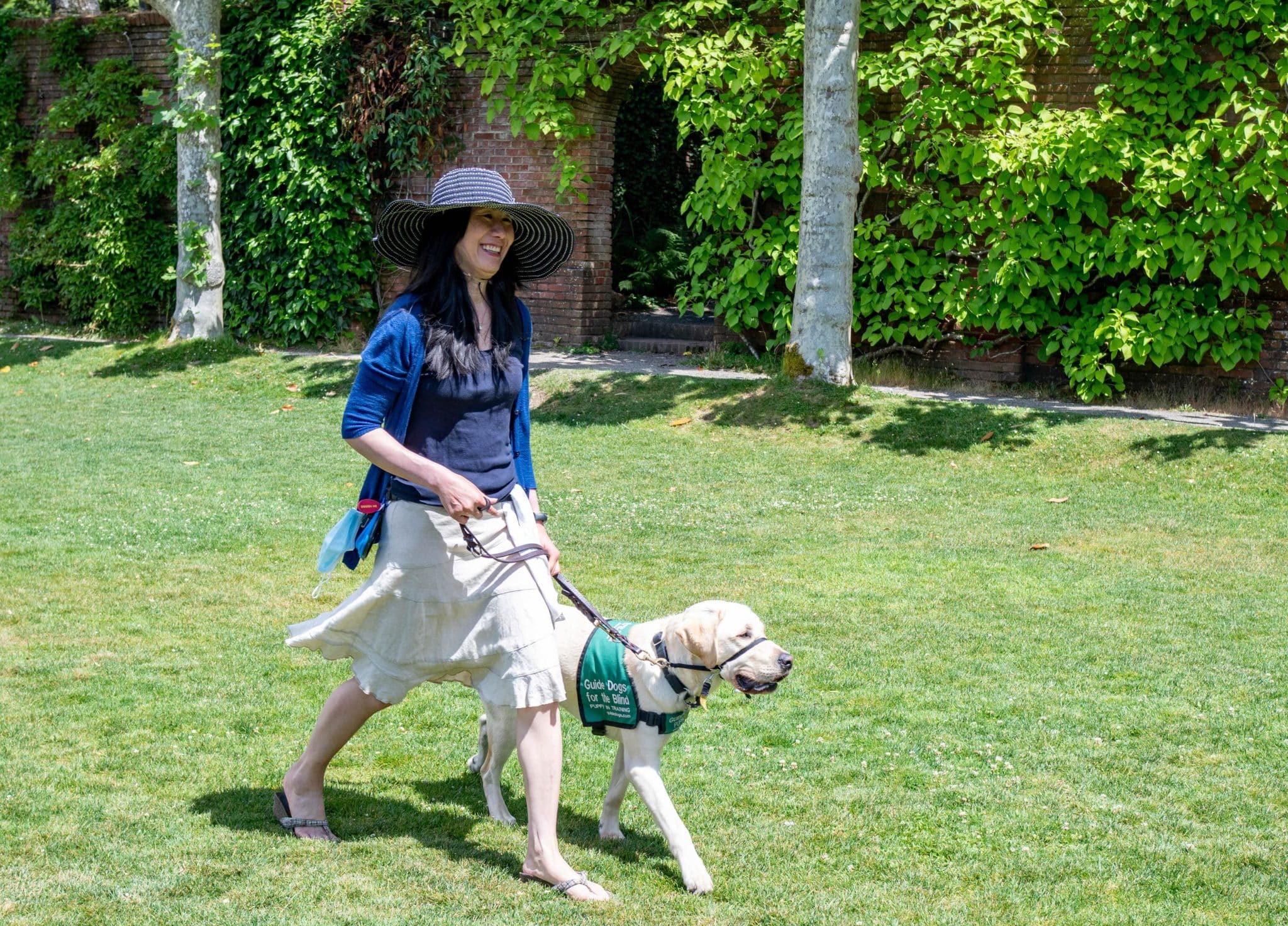 Person walking on lawn with service dog at their side.