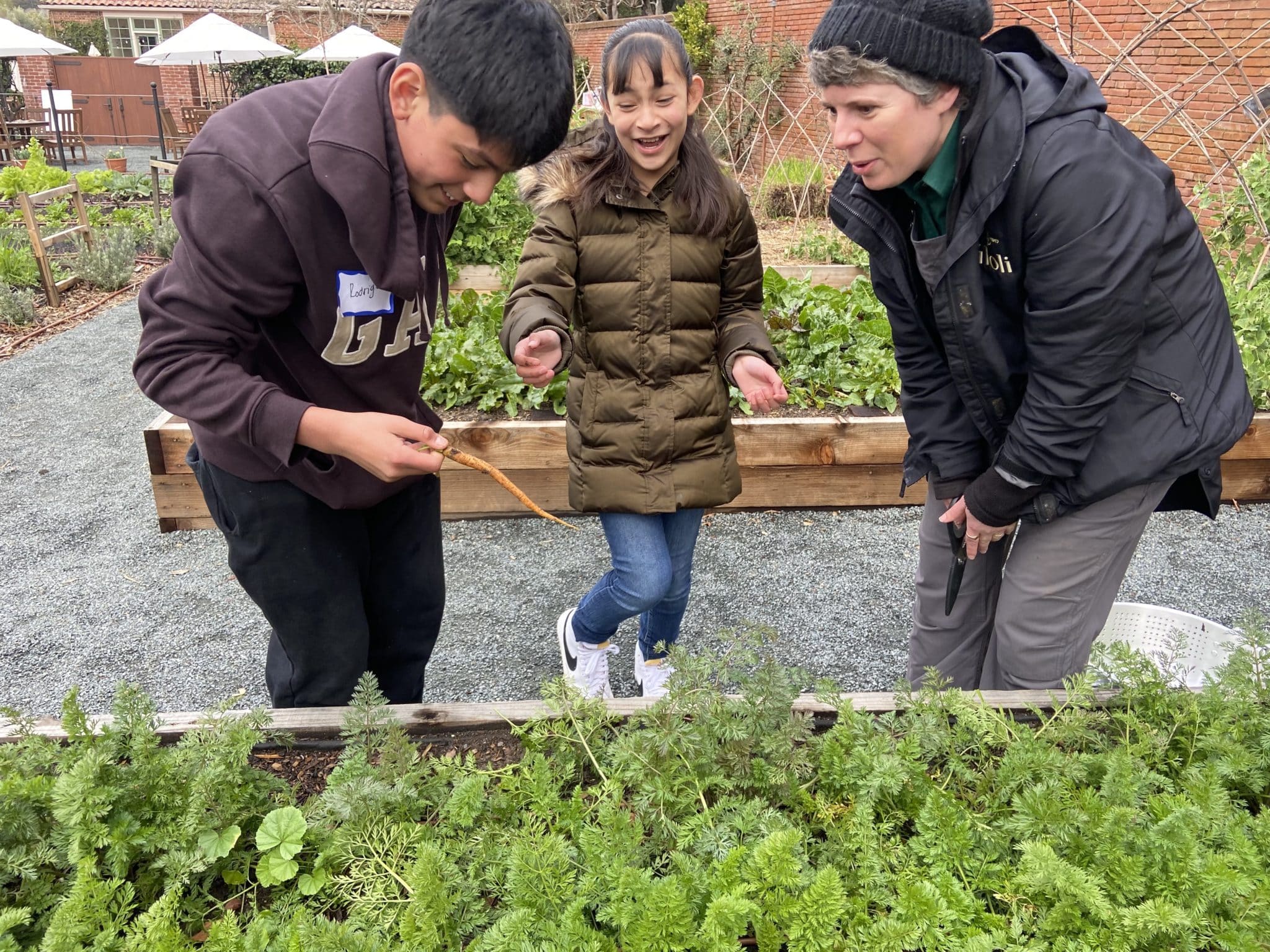 Peninsula Bridge 6th graders in the Vegetable Garden