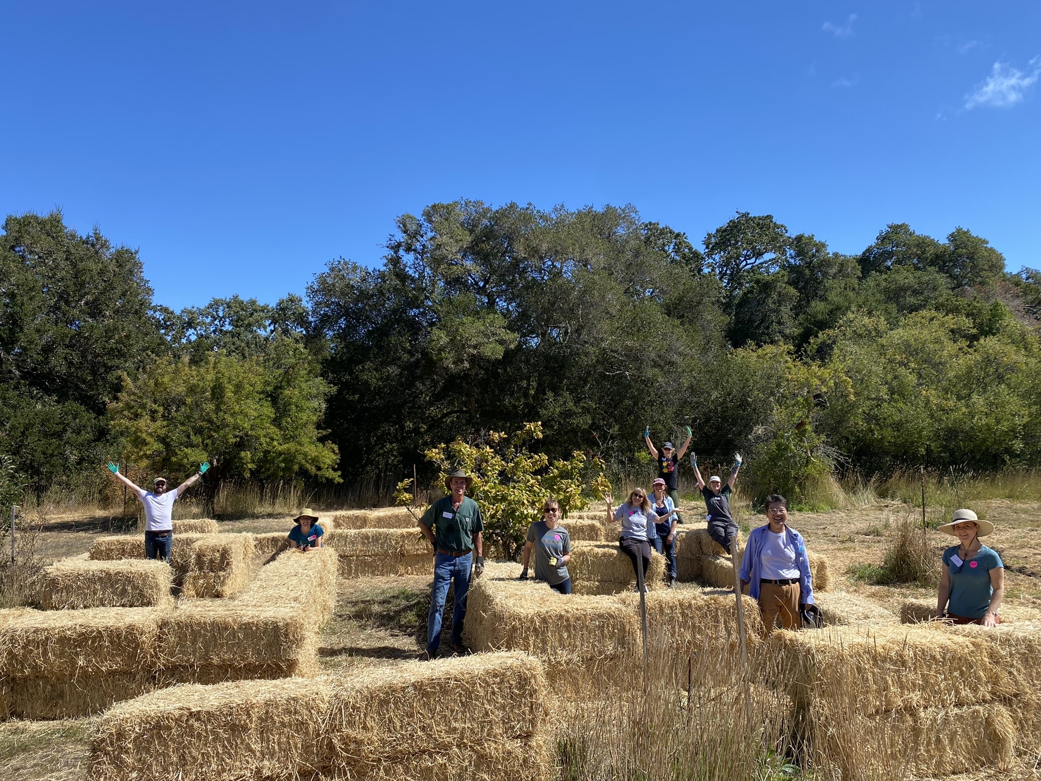 Orchard Care, Service Learning, September 2022.
Staff member Kathy King leads a group of participants in building the hay maze for Orchard Days.