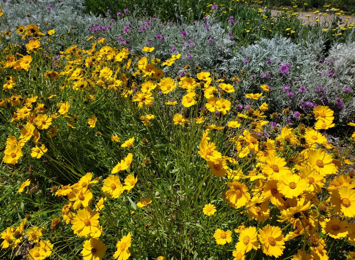 Cutting Garden Filoli