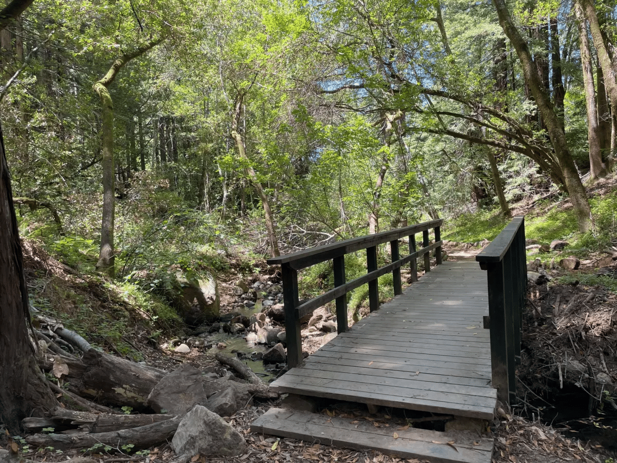 Filoli Spring Creek Trail