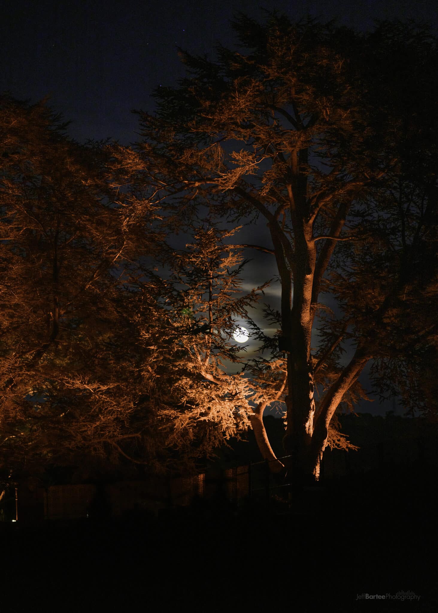 2023 10 30 Filoli Spooky Night 3723