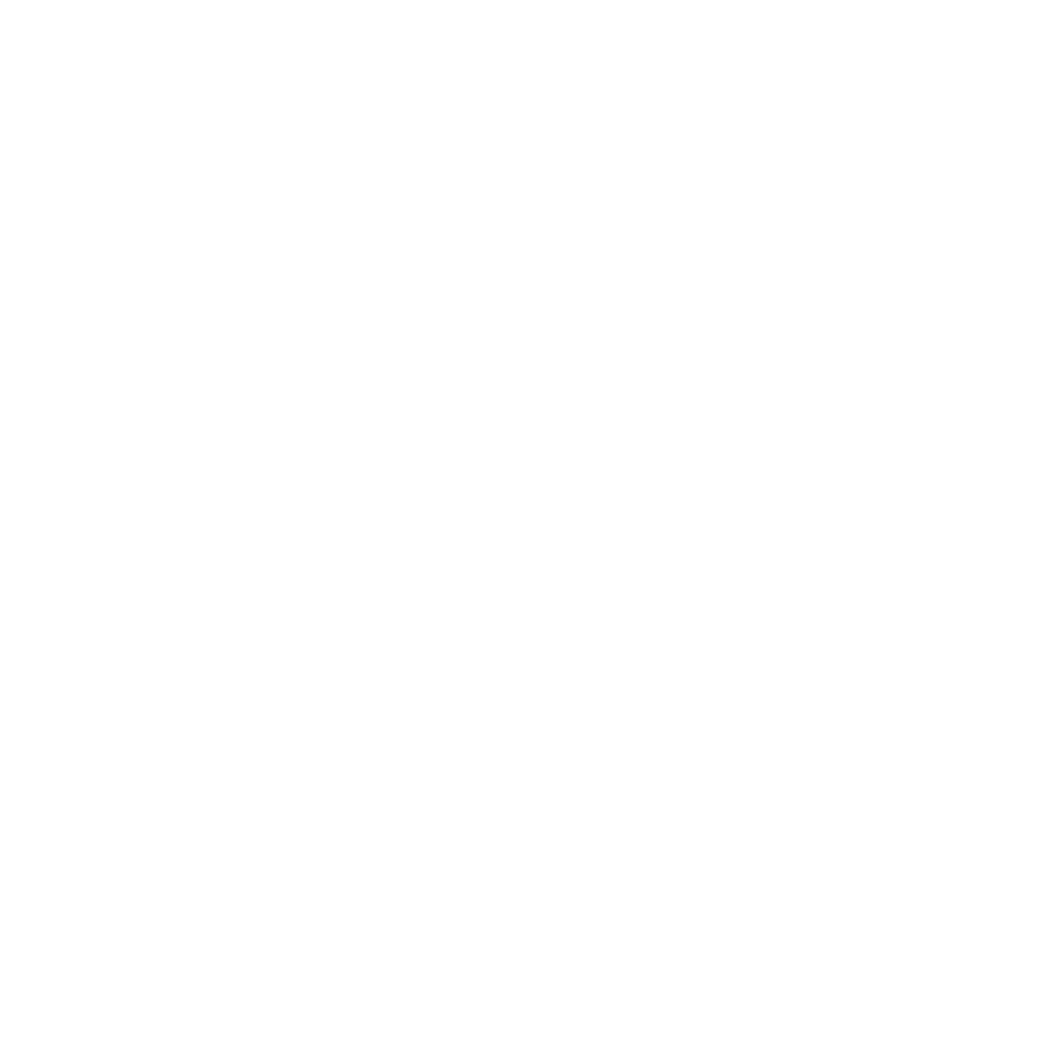 Vanity Portrait Studio Logo