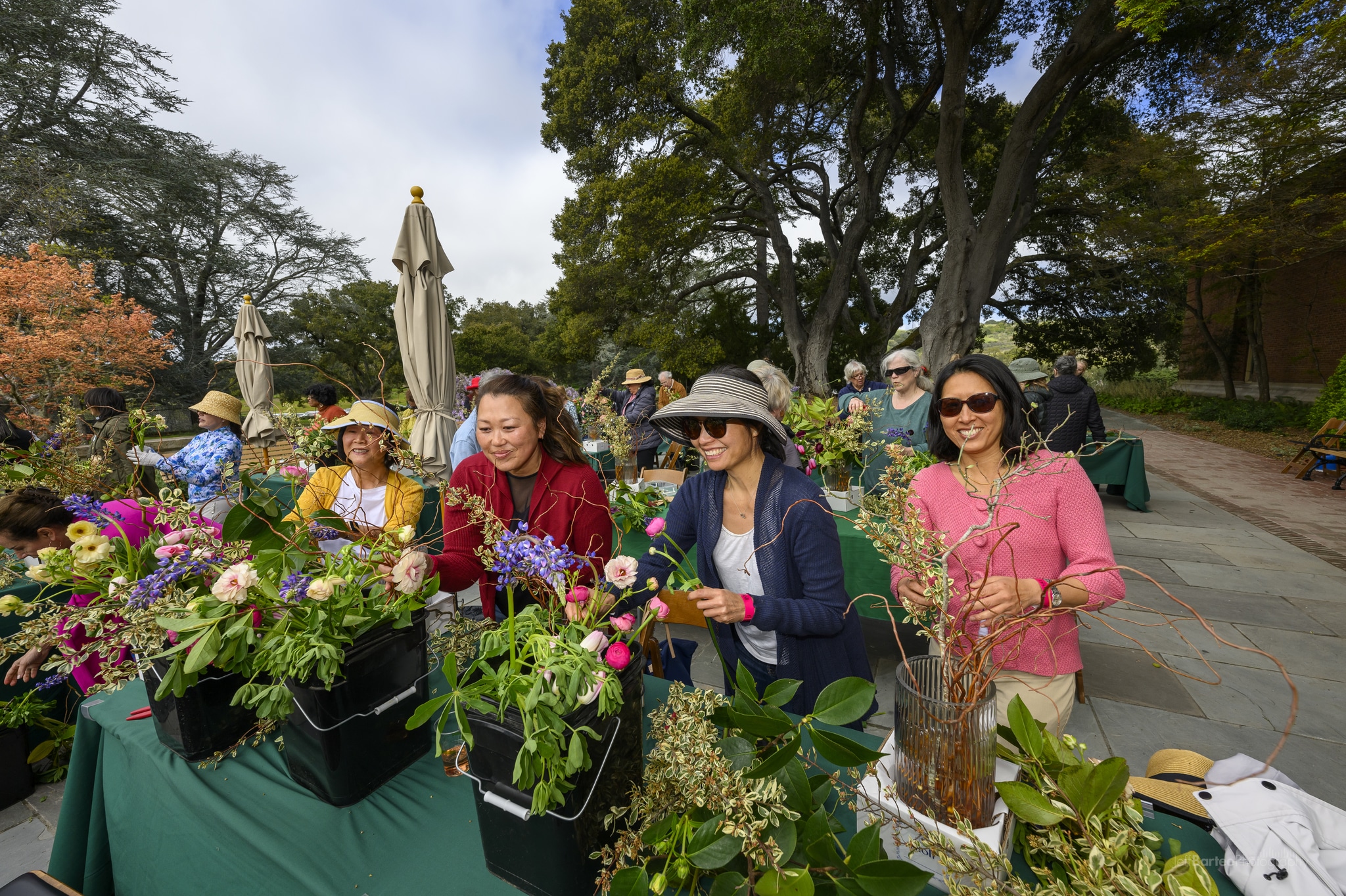 Filoli Flora 2024 7295 (1)