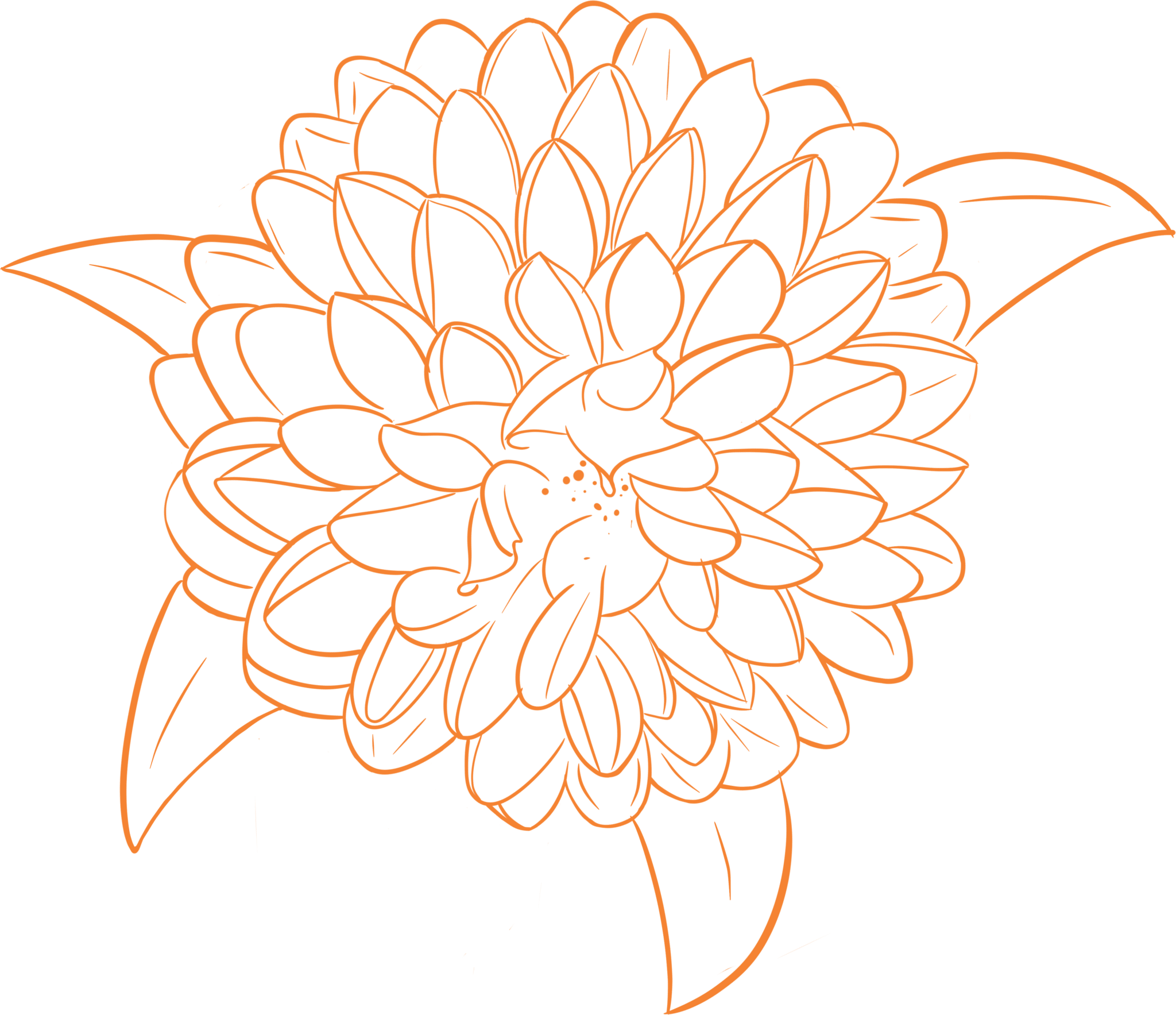 Dahlia 3 Marigold