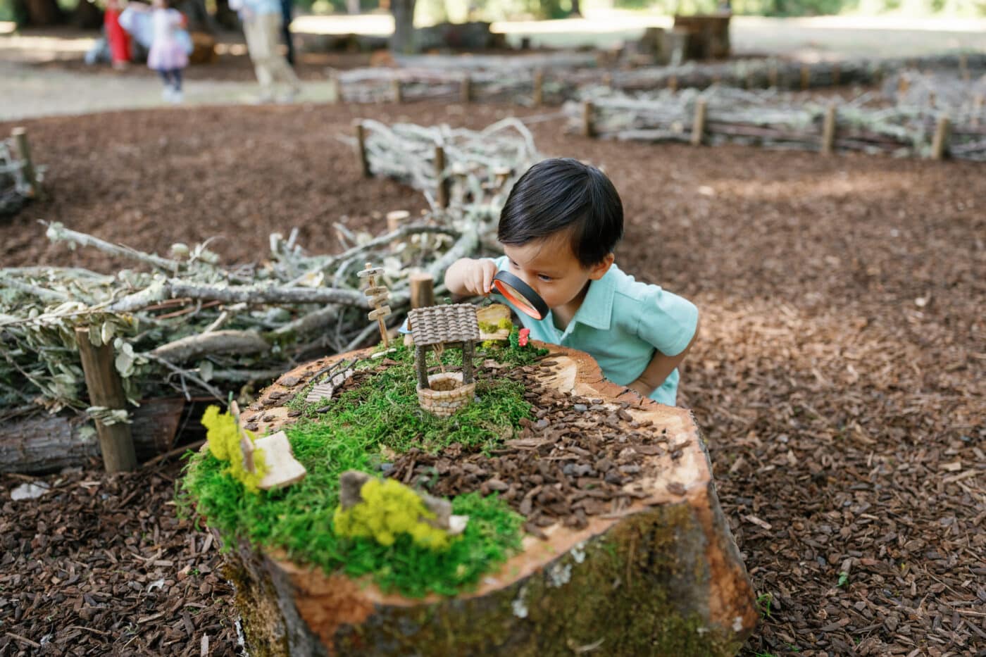 Nature Playspace