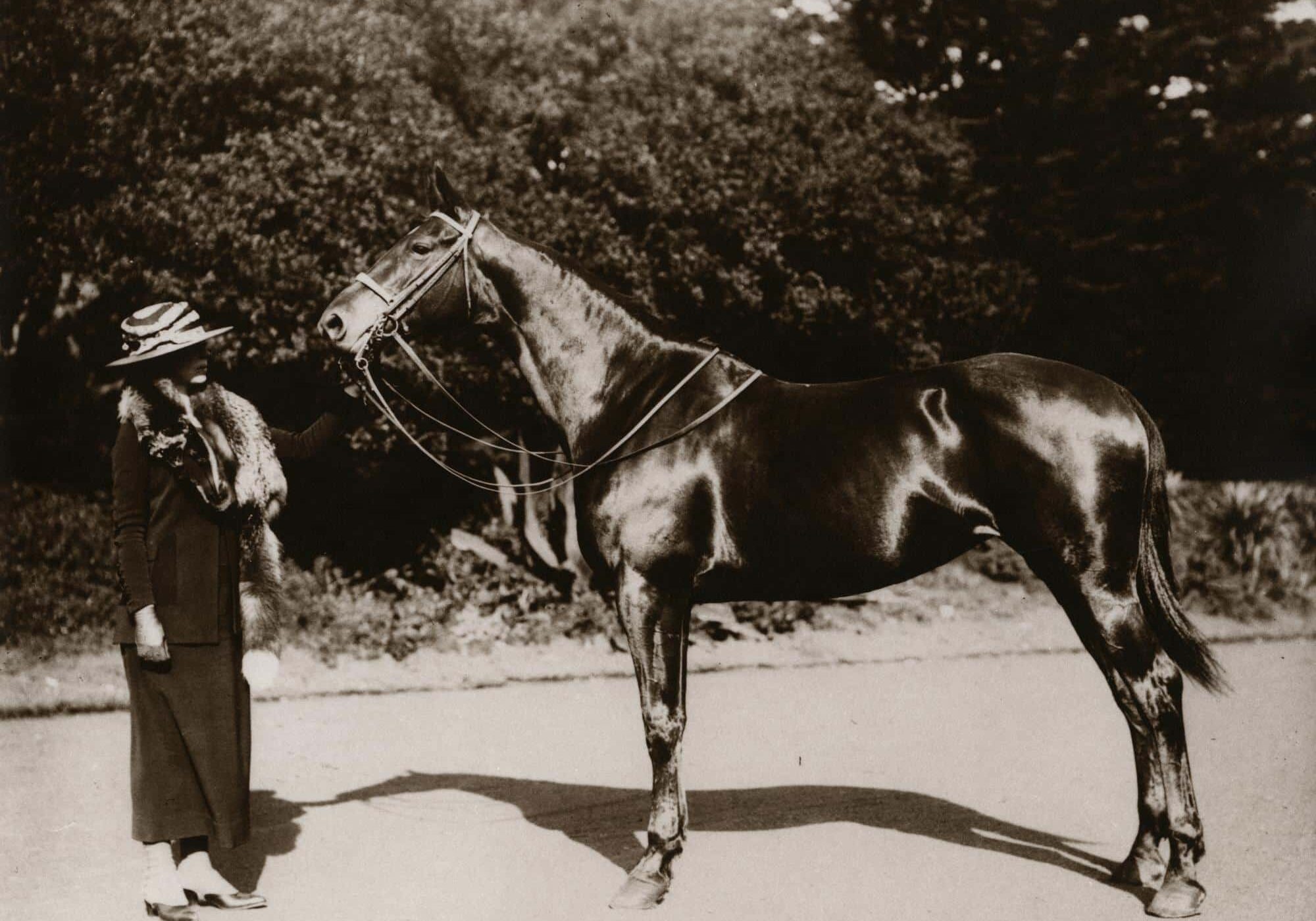 "Lurline Berenice Matson, standing, side view, facing dark colored horse with bridal and reins in full side pose.  Lurline wearing almost full length dark ensemble with lush fur collar and brimmed hat with striped crown."