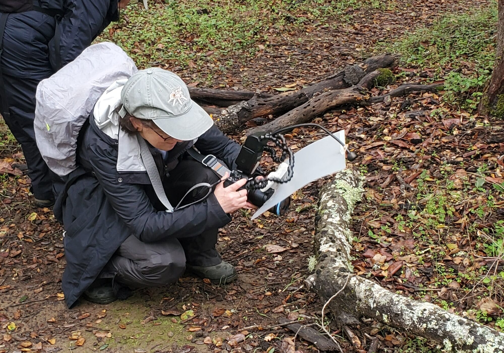 Citizen Science: Recording Filoli's Mushrooms, 1/13/2024. Visitors observe and photograph mushrooms growing along the Estate Trail.