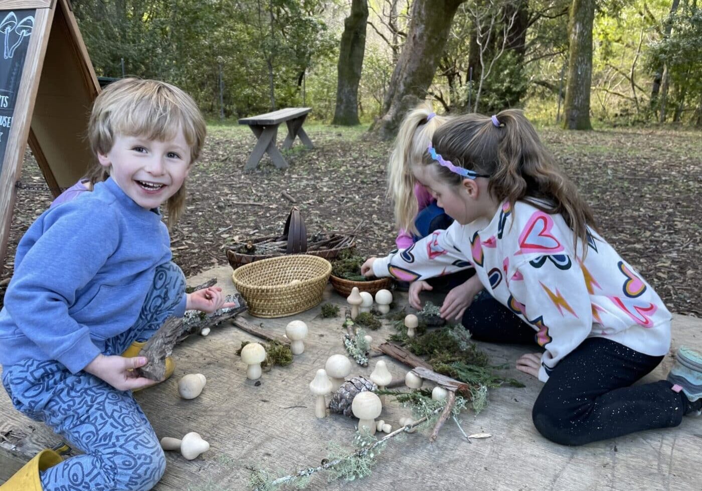 Mushroom Weekend 2025 activities in Filoli's natural lands include Nature Play.