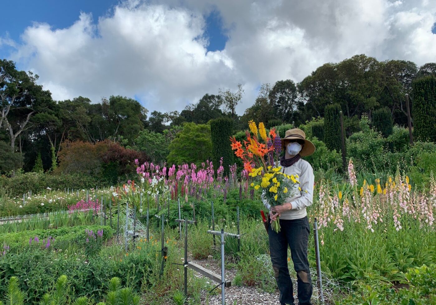 General Support consists of single-day, seasonal and short term projects in the Horticulture and Collections departments. These assignments do not usually require additional training beyond the initial volunteer orientation. There is no minimum service hours requirement to participate in General Support.