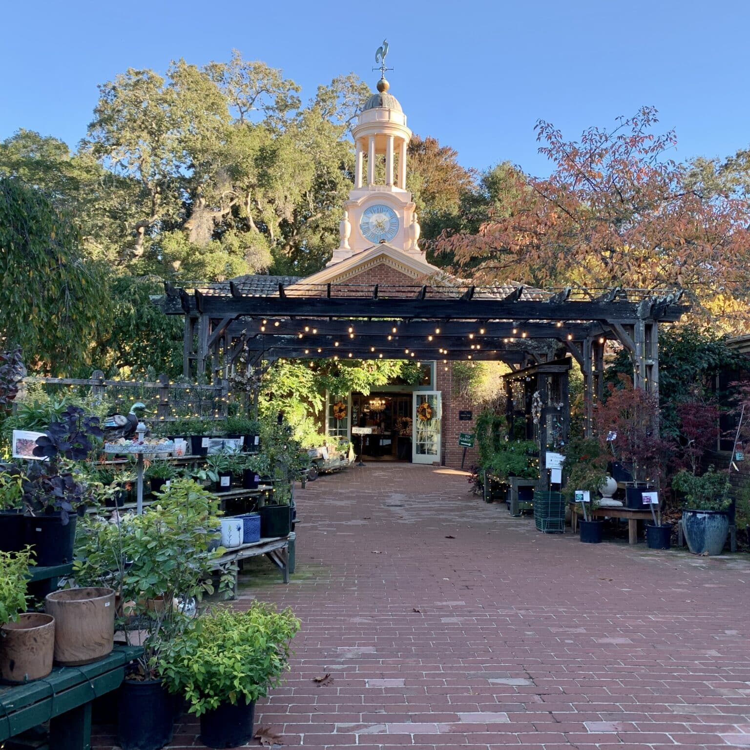 Clock Tower Courtyard (1)