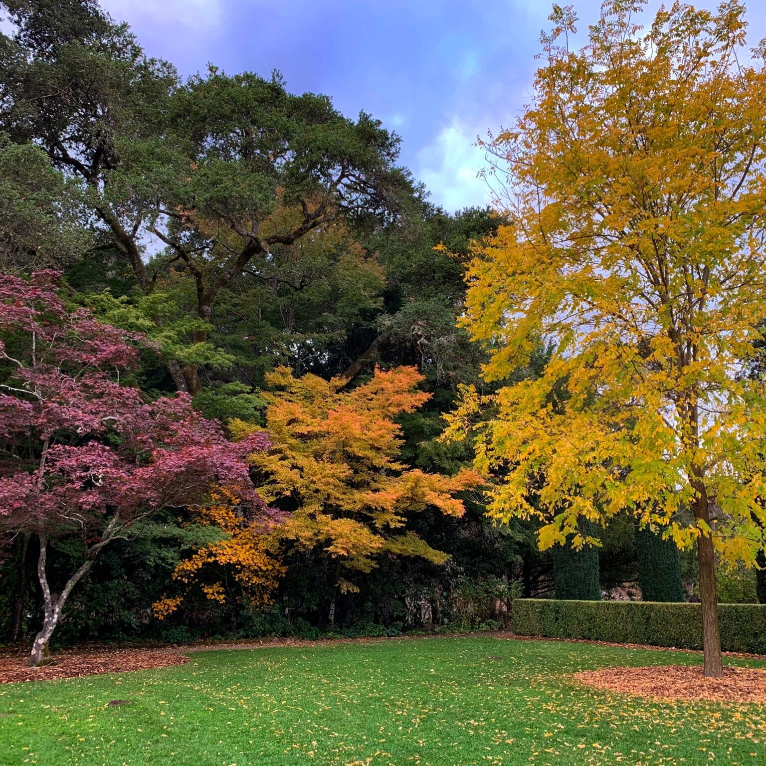 Fall Colors Behind The Pool