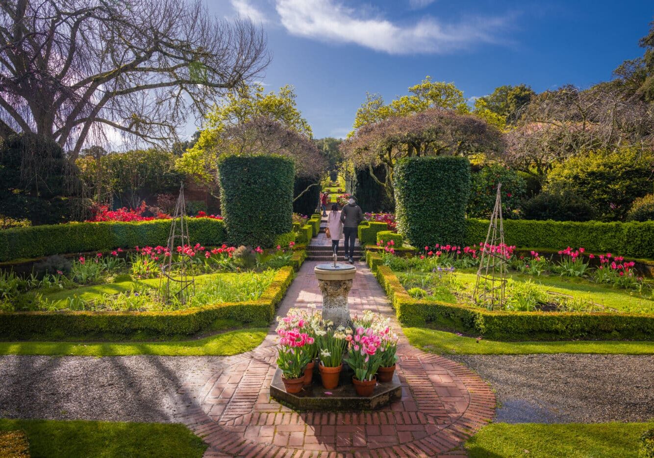Filoli AlbertDros HappyPeople 20 (4)
