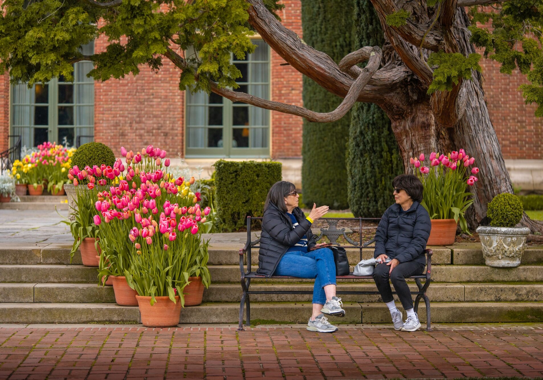 Filoli AlbertDros HappyPeople 6 (2)