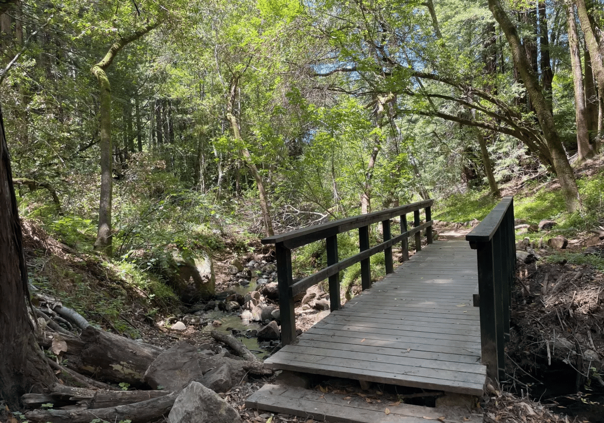 Filoli Spring Creek Trail
