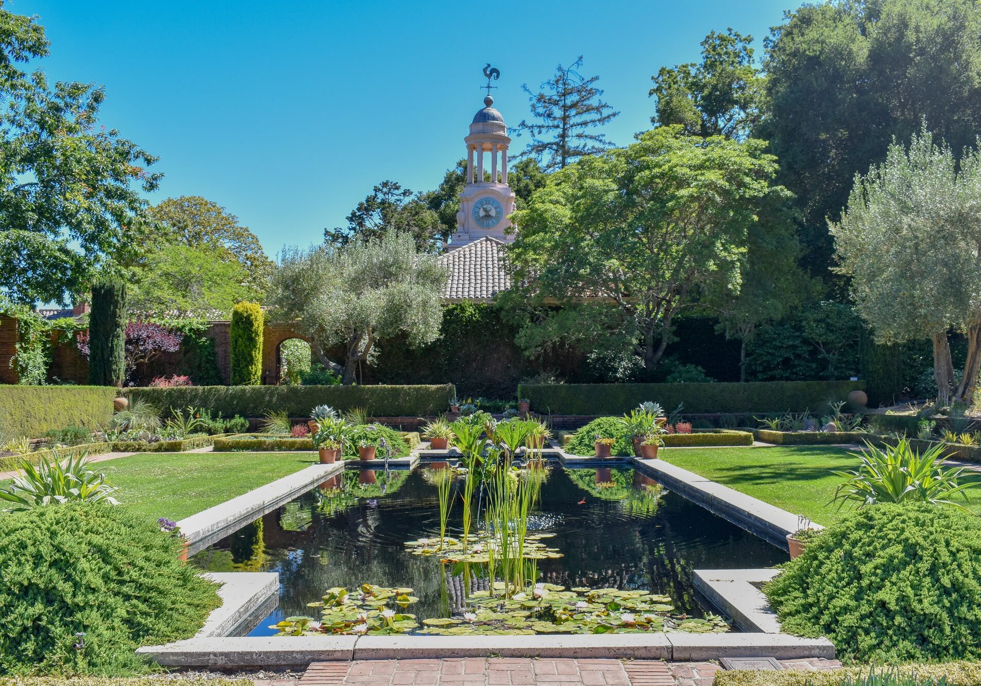 Filoli Summer 6048