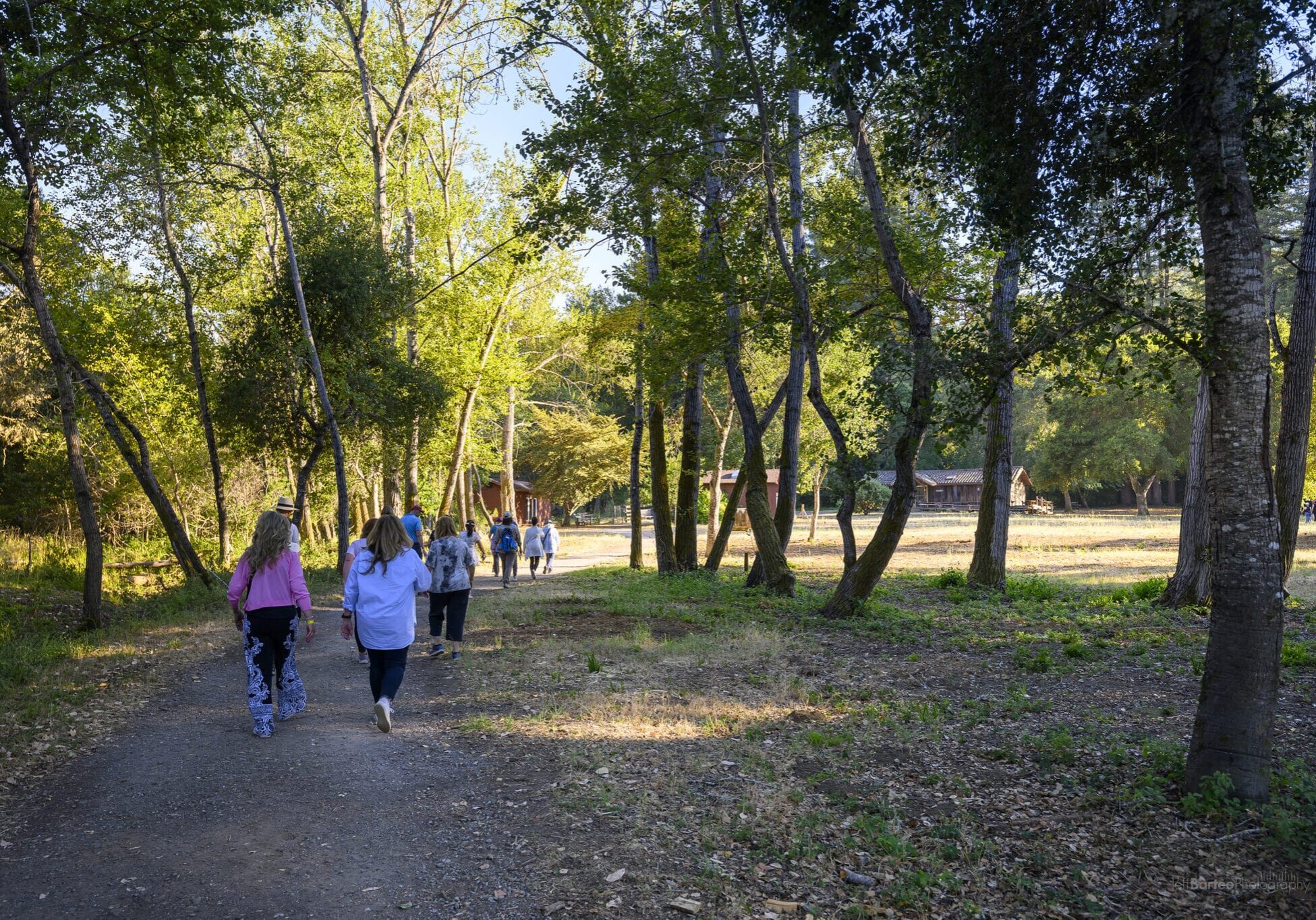 Hike the trail at twilight for a more active experience.