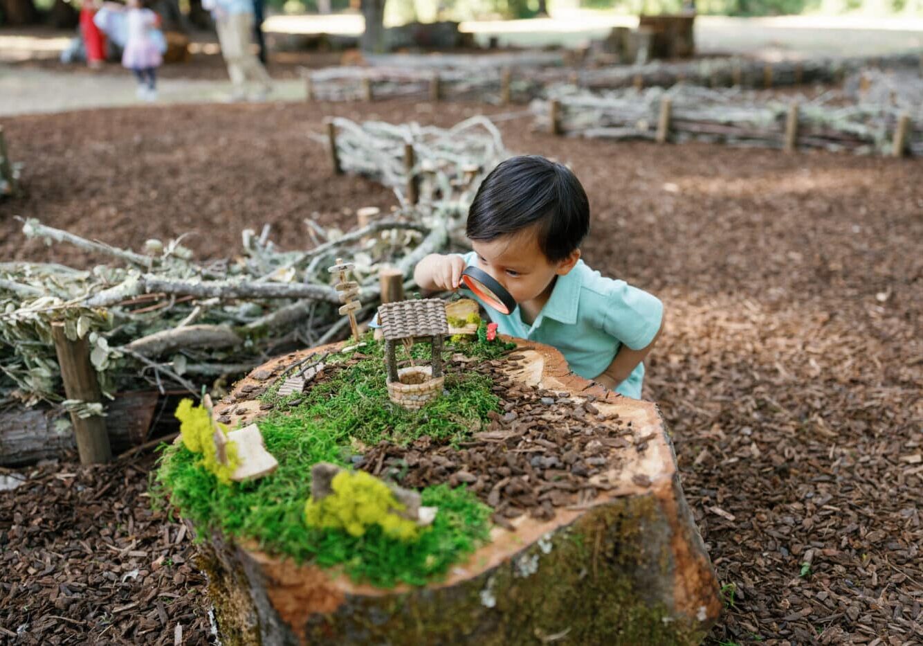 Nature Playspace