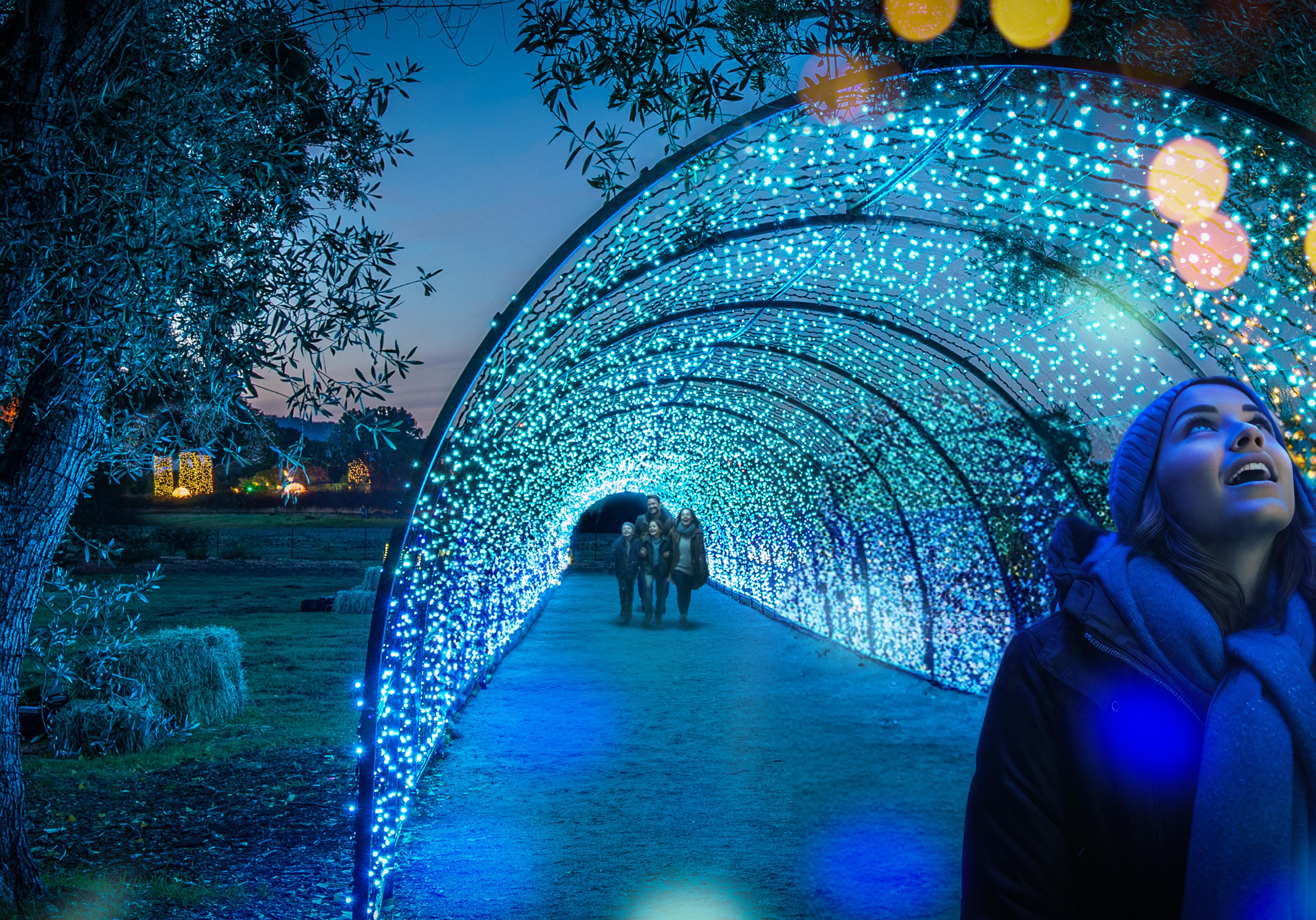 Garden,  Holidays,  Evening,  Garden Lights
Person with long brown hair a purple hat and blue scarf walks through the light tunnel with a family walking behind,