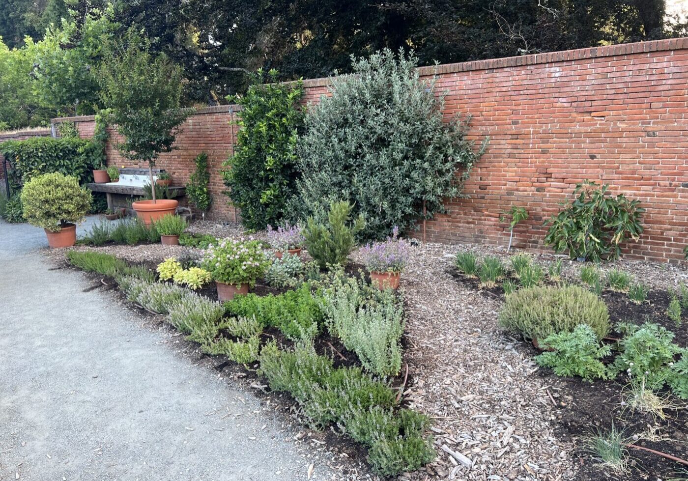 Herb Garden Overview