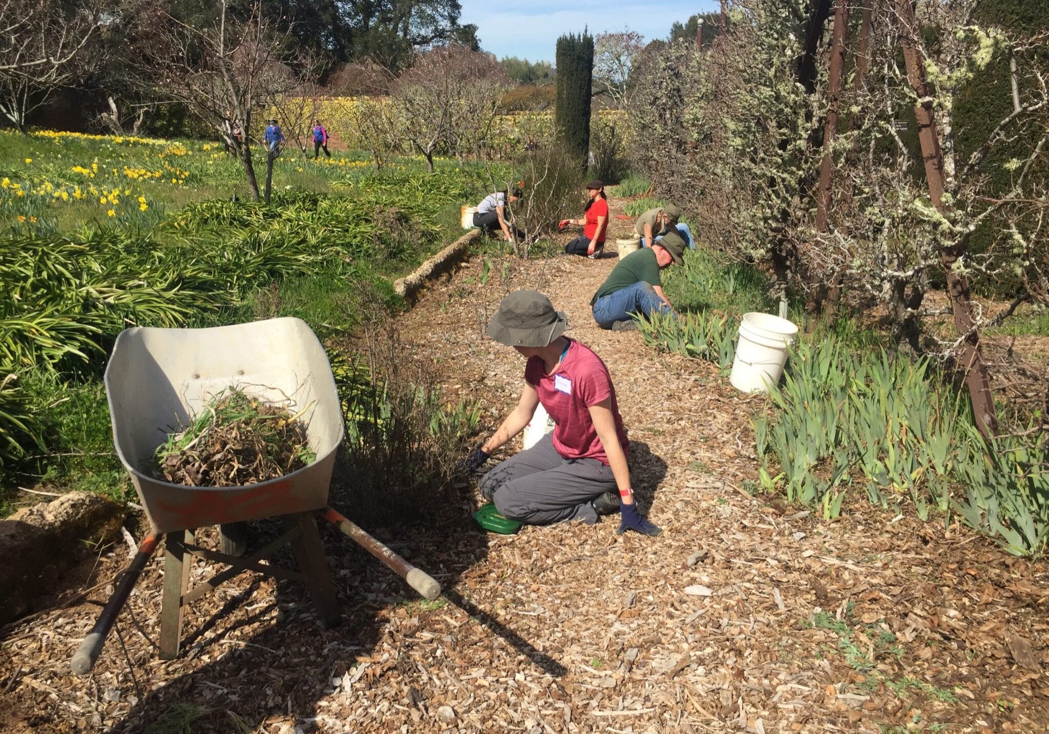 Mulch Appreciated Service Learning project