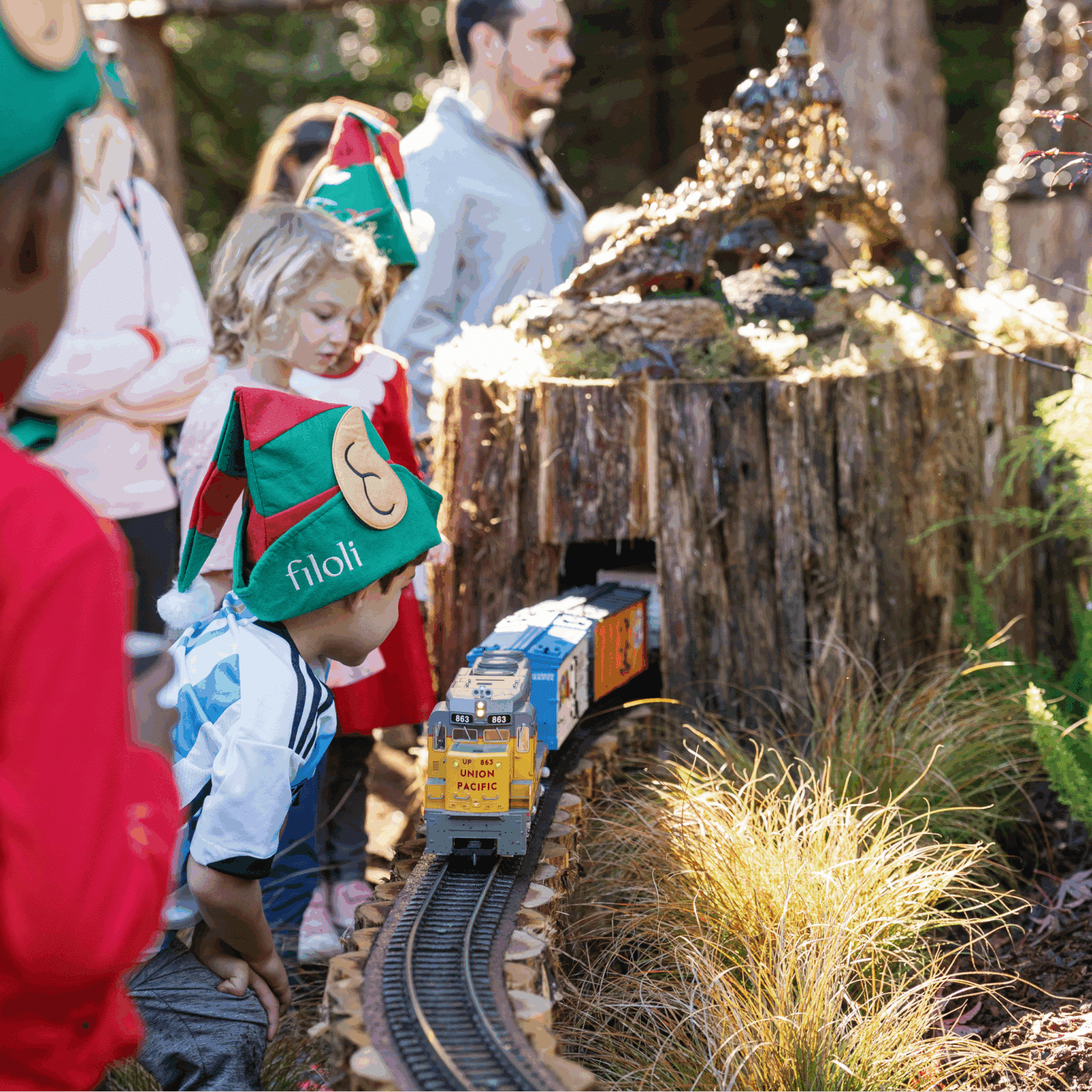 Olivia Marshall Thistlewyck 12 Cropped