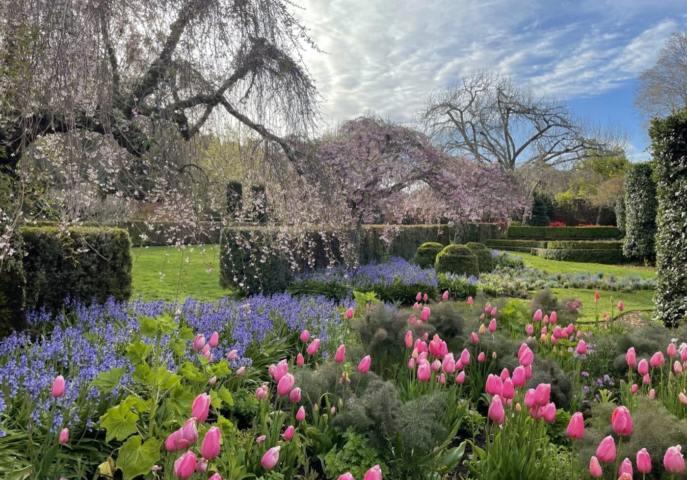 Spring Morning By The Cottage Garden Beds