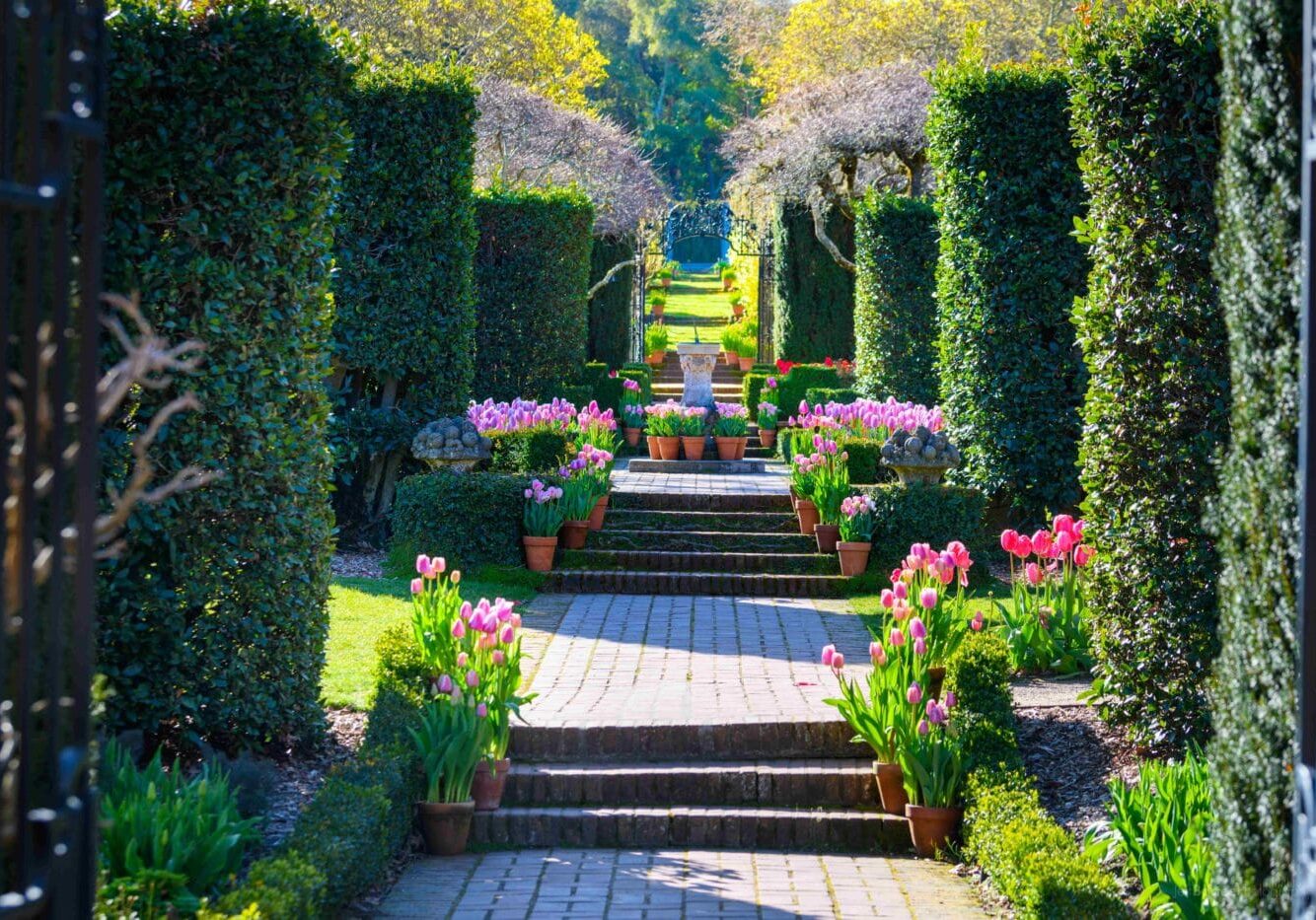 View Of The Sundial Through The Walled Garden