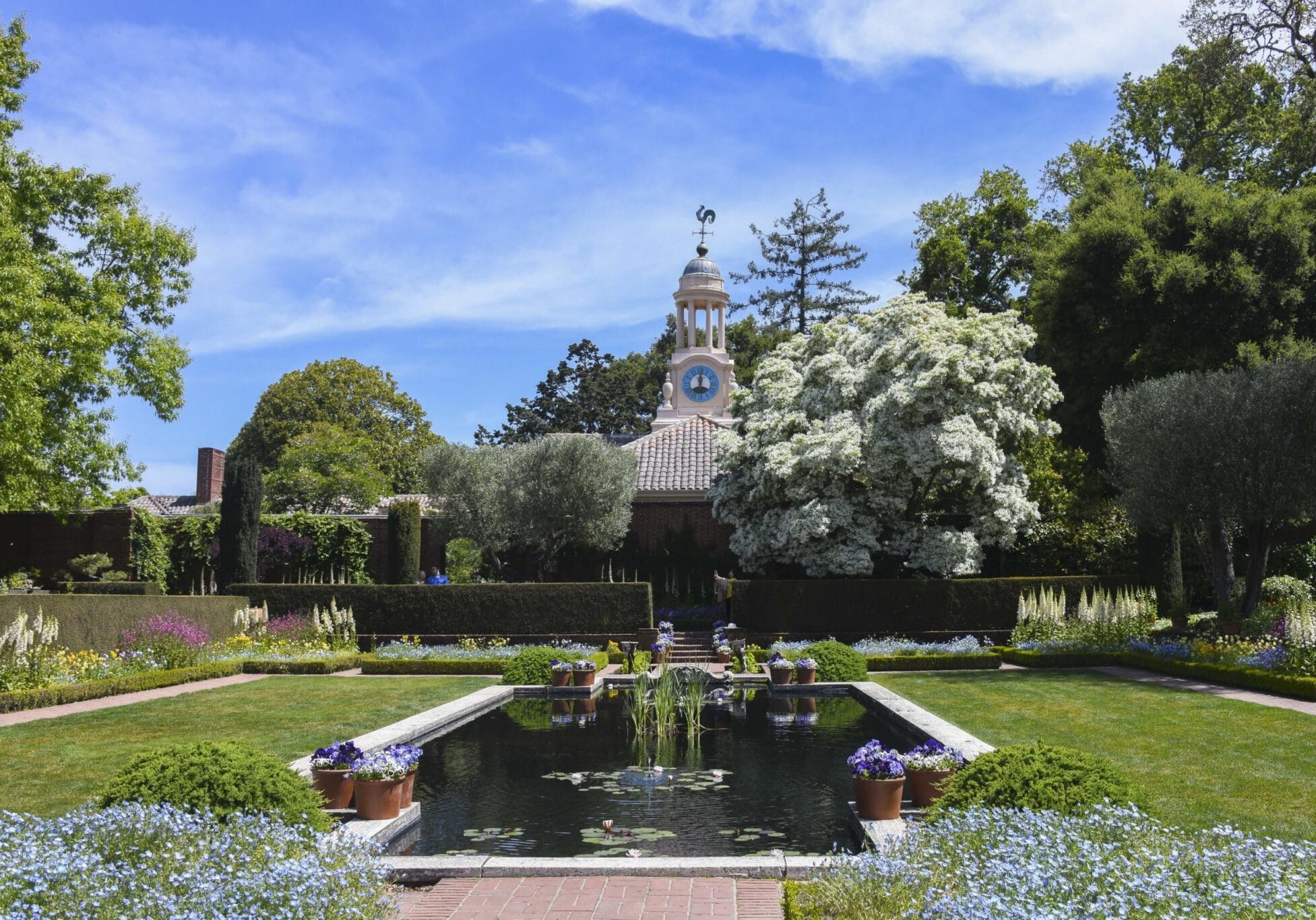 Garden(3)