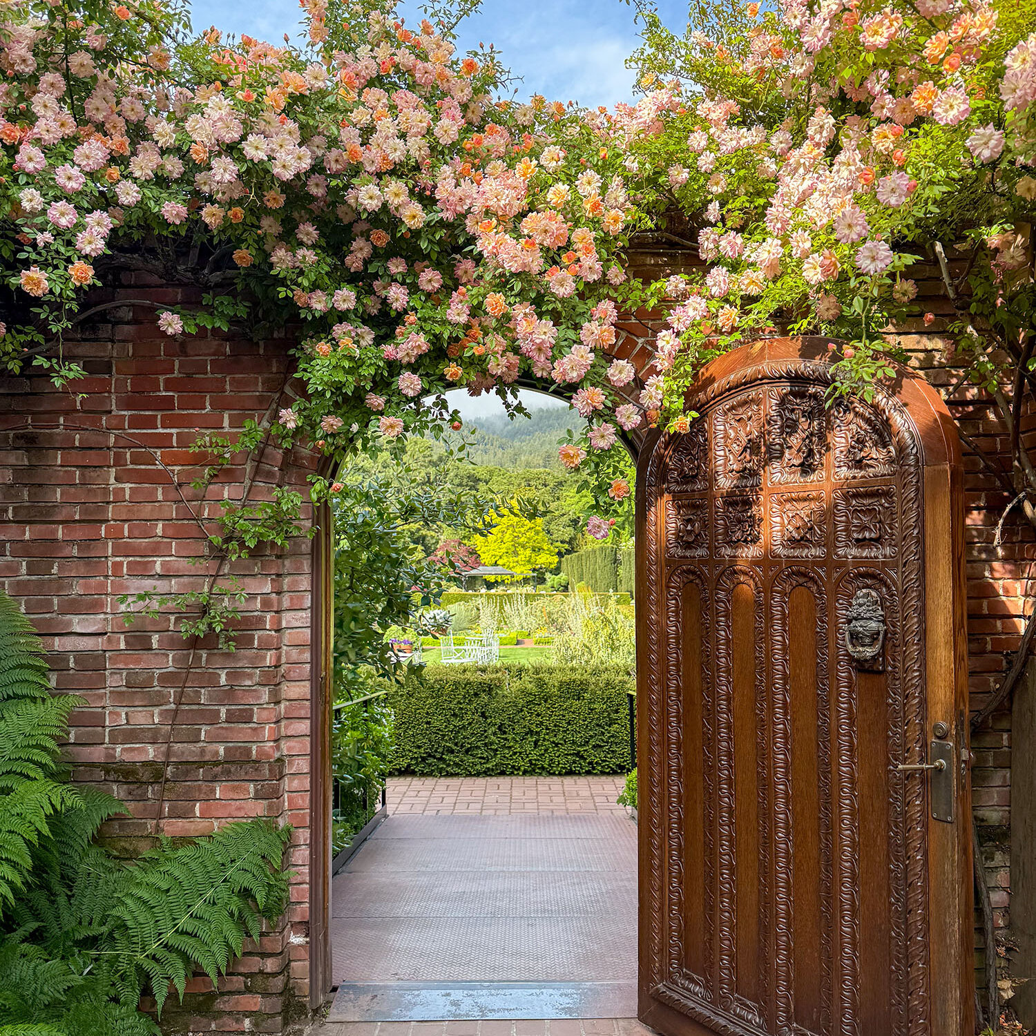 The 'Phyllis Bide' Climbing Rose frames the door to the Sunken Garden with blooms.